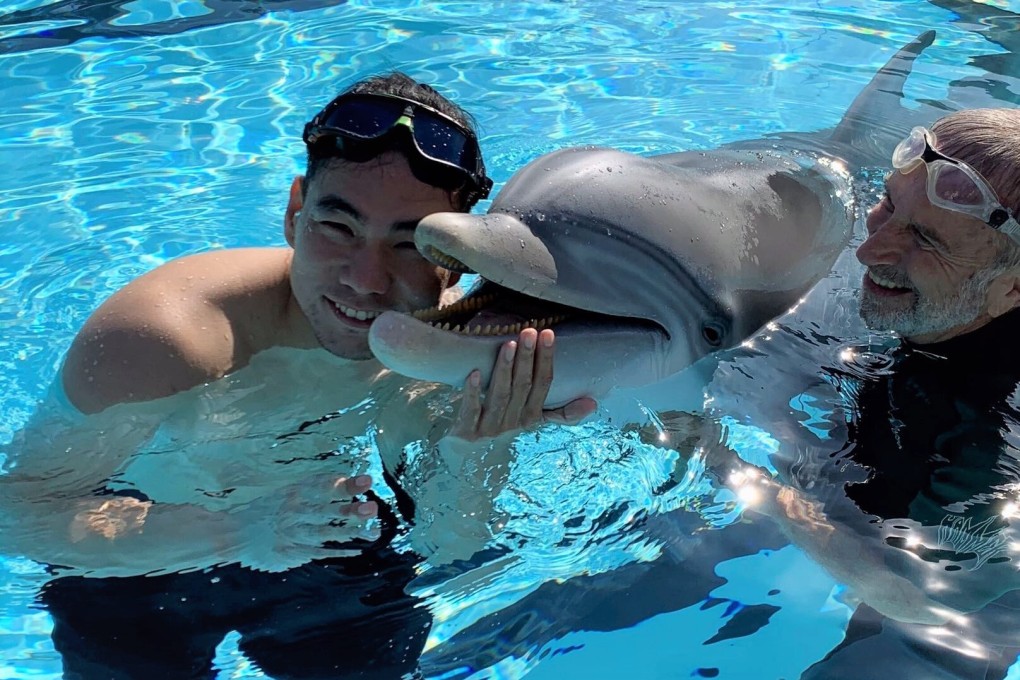 The robotic dolphin could be a replacement for live animals in captivity. Photo: Handout