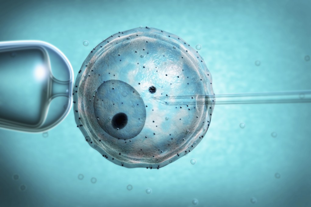 IVF and other reproductive technologies are off limits to unmarried women in China. Photo: Handout