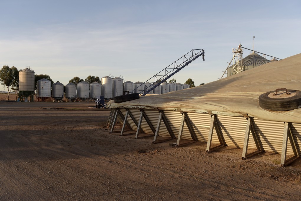 China has slapped anti-dumping duties on Australian barley as diplomatic tensions escalate between the two nations. Photo: Bloomberg