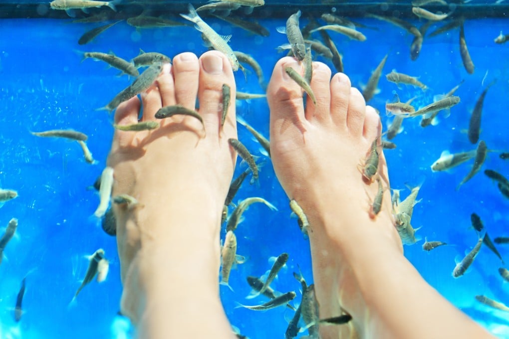 Keep your big toe healthy with massages, strength exercises and appropriate footwear. Photo: Getty Images/iStockphoto