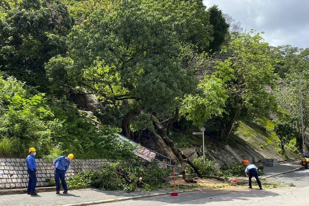 The incident occurred on Friday morning. Photo: Handout