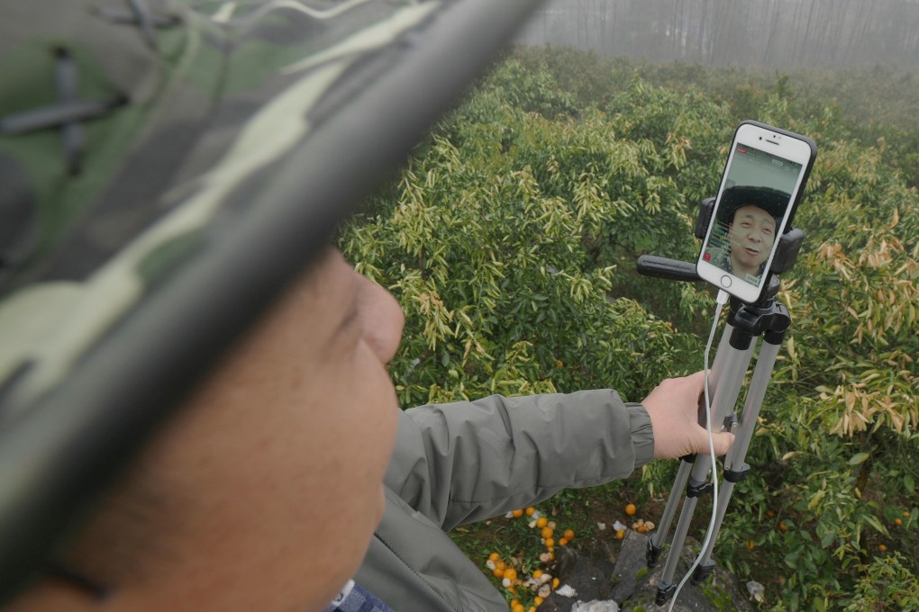Fruit farmer Zhong Haihui, from from central China's Hunan province, has started travelling around the country to do live-streams from local orchards. Photo: SCMP/Chris Chang