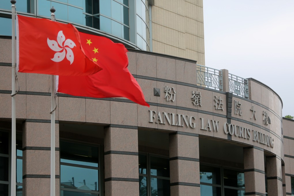 Fanling Court Magistrate Debbie Ng Chung-yee on Friday found 29-year-old teacher Yeung Pok-man guilty of assaulting a Hong Kong police officer. Photo: Winson Wong