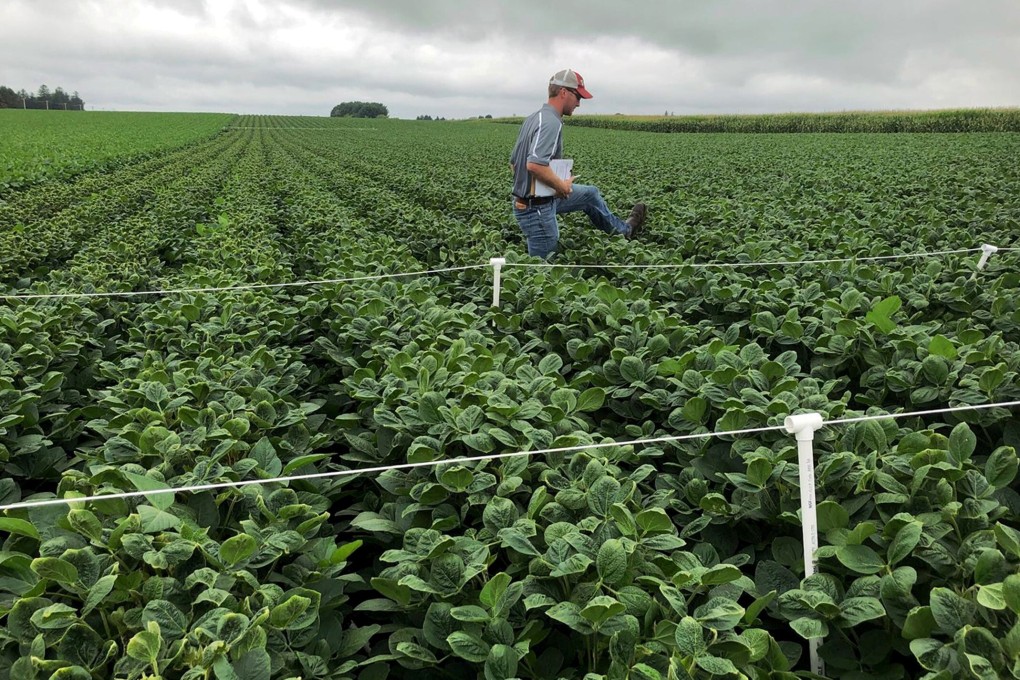 Soybean fields are inspected as part of a University of Wisconsin research trial in Arlington, Wisconsin in 2018. Photo: Reuters