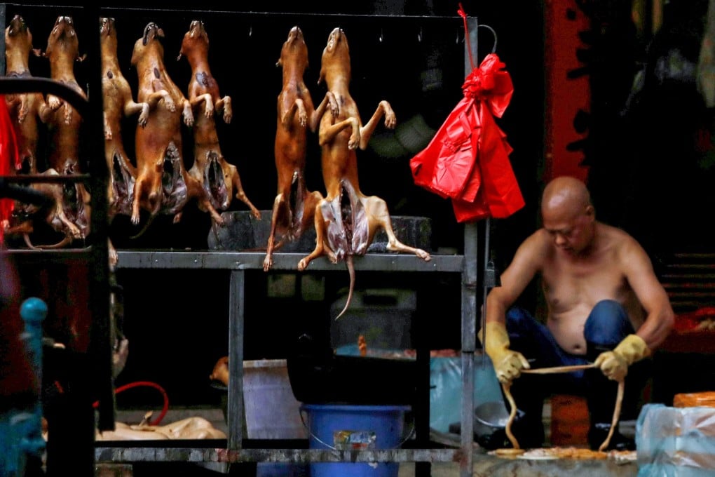 The local government in Yulin, Guangxi Zhuang autonomous region, has never admitted to holding a dog meat festival, saying only a few restaurants and members of the public take part. Photo: Reuters