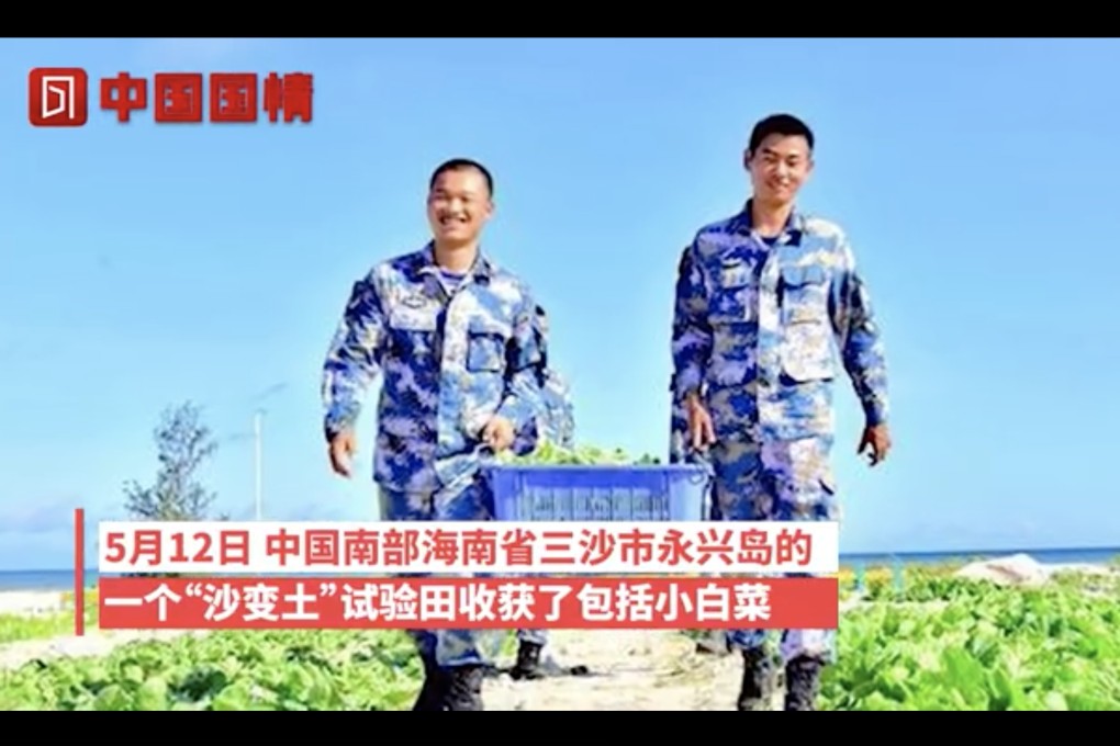 The Chinese navy has turned a sand beach on Woody island, one of the disputed Paracel Islands in the South China Sea, into a vegetable field, according to the Chinese navy’s official WeChat account. Photo: Weibo