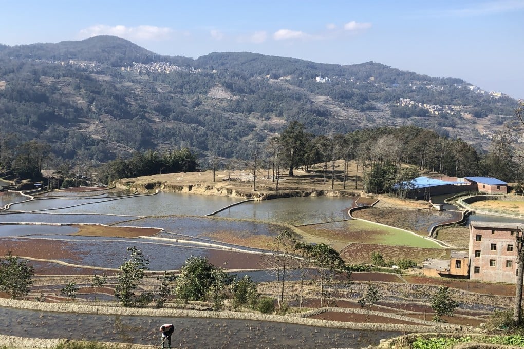 Rice terraces in the Honghe Hani and Yi autonomous prefecture, Yunnan province, China. Photo: Thomas Bird