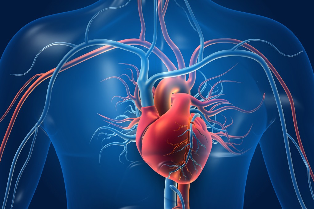 Scientists have used stem cell technology in their bid to find out why many Covid-19 patients suffer cardiac complications. Photo: Shutterstock