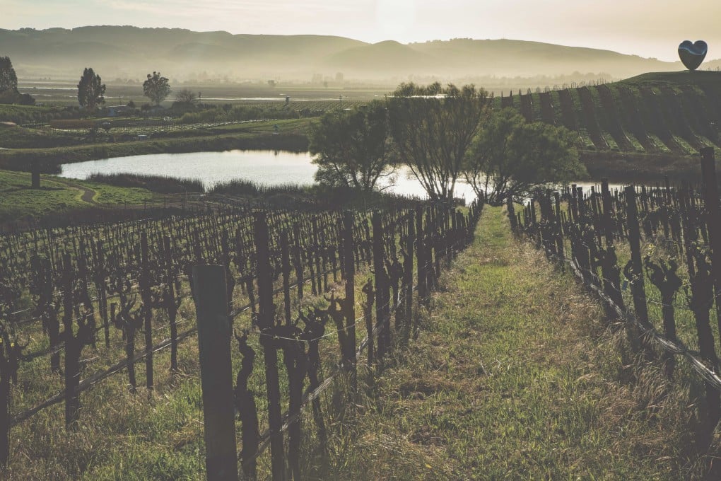 The Donum wine estate, in California, in the United States. Photo: The Donum Estate