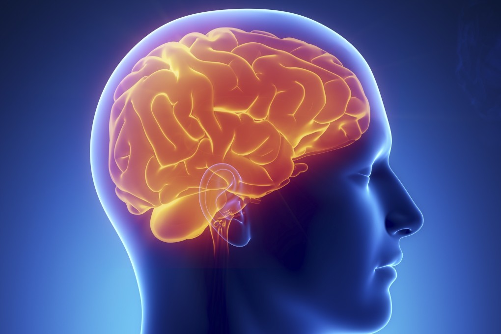 The brain: how it works and the best ways to keep it healthy as you get  older | South China Morning Post