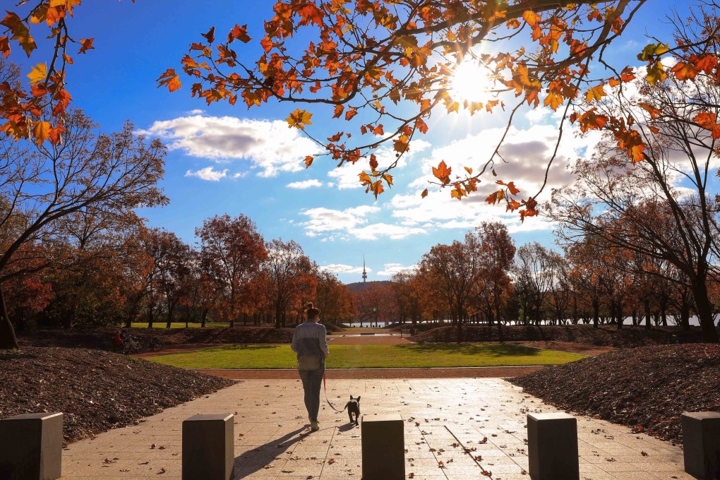 A woman walks her dog in Canberra, May 17, 2020. The Australian capital is one of the new cities Didi Chuxing will operate in starting August 10. Photo: Xinhua