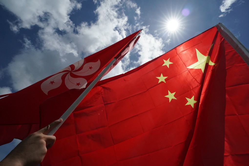 About 30 members of Pro-Government group with National flag celebrating of the new National Law outside the Tamar Site. Photo: Felix Wong