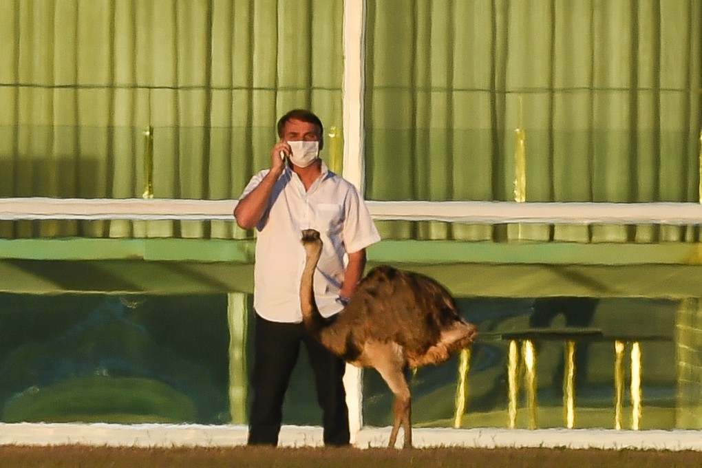 Brazilian President Jair Bolsonaro speaks on a mobile phone next to an emu outside the Alvorada Palace in Brasilia on July 13, nearly a week after he tested positive for Covid-19. Photo: AFP