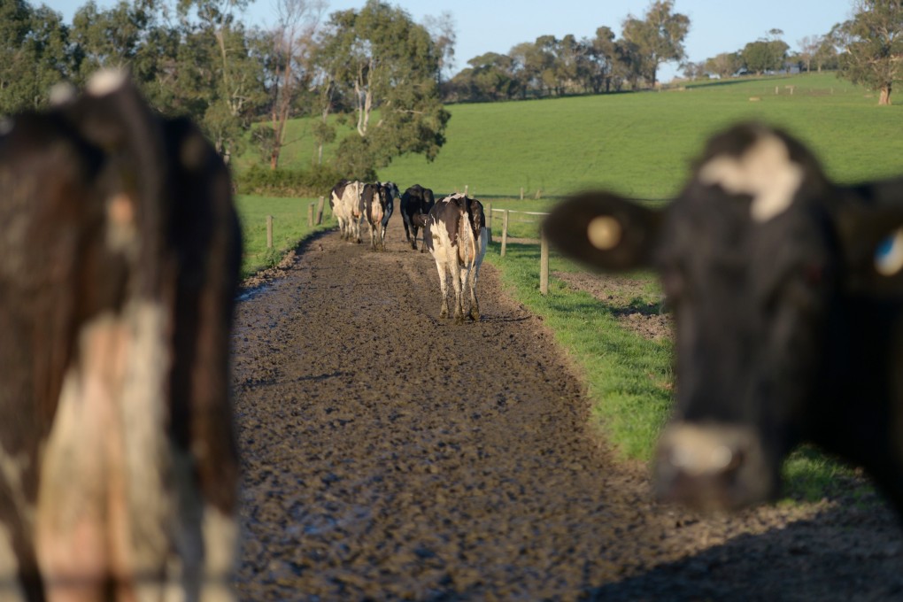 Australian beef exporters turned to markets in the US and South Korea after China placed a ban on four Australian abattoirs. Photo: Bloomberg