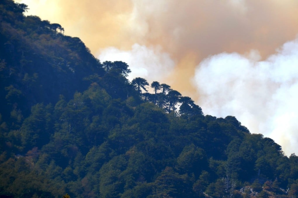 A view of the Conguillio national park during a wildfire in Temuco, Chile, in 2015. Photo: Reuters