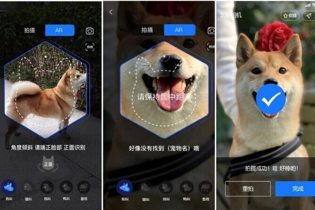 Alipay’s AI algorithm provides instructions that guide users through taking a photos of their pets to enrol them into its pet insurance program. Picture: Handout