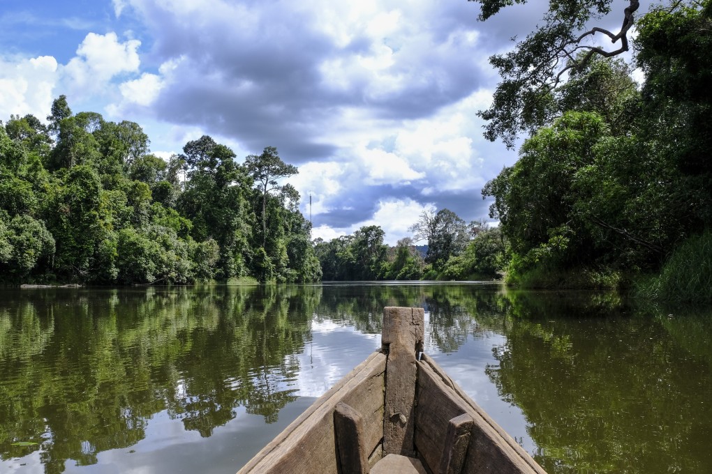 The Areng River, one of the last homes of elusive Siamese crocodiles, in the Areng Valley in Koh Kong province, Cambodia. Once a target site for a hydroelectric dam, the valley is now a hotspot for eco-tourism. Photo: Peter Ford