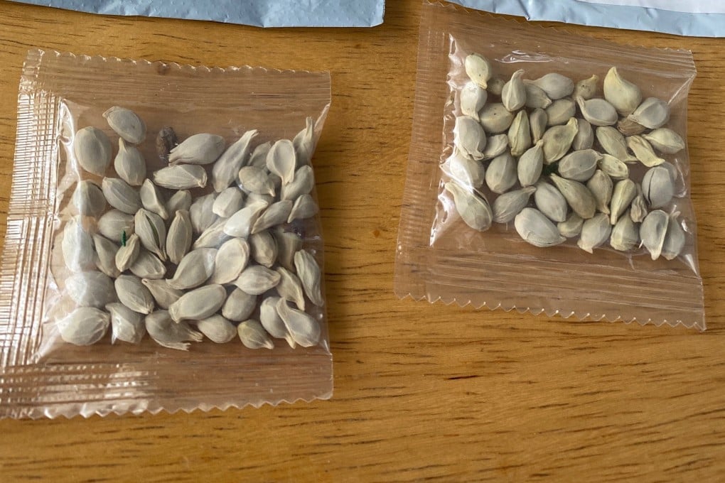 A package of seeds received by a Washington state resident. Photo: Twitter