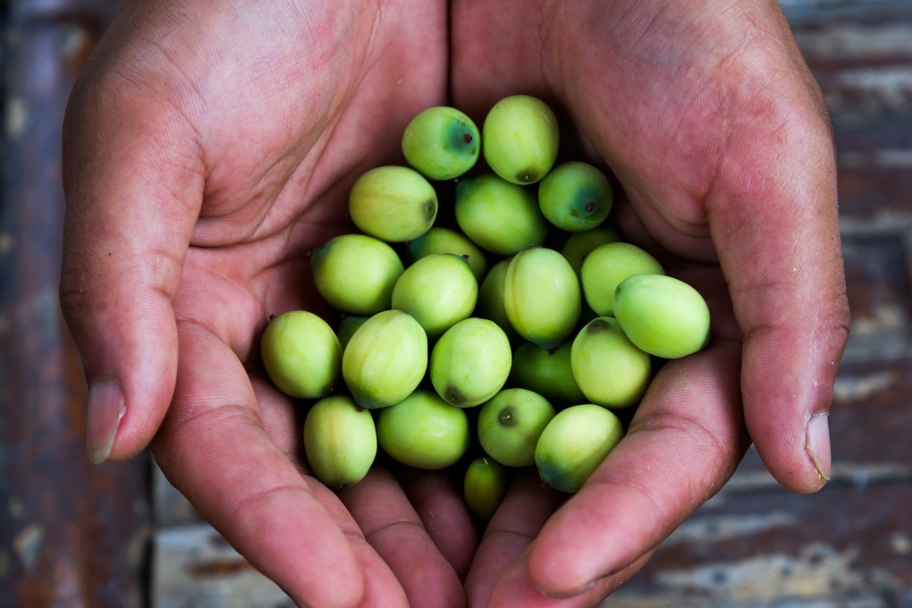 Lotus seeds are a super food long used in Ayurveda and traditional Chinese medicine. Photo: Getty Images