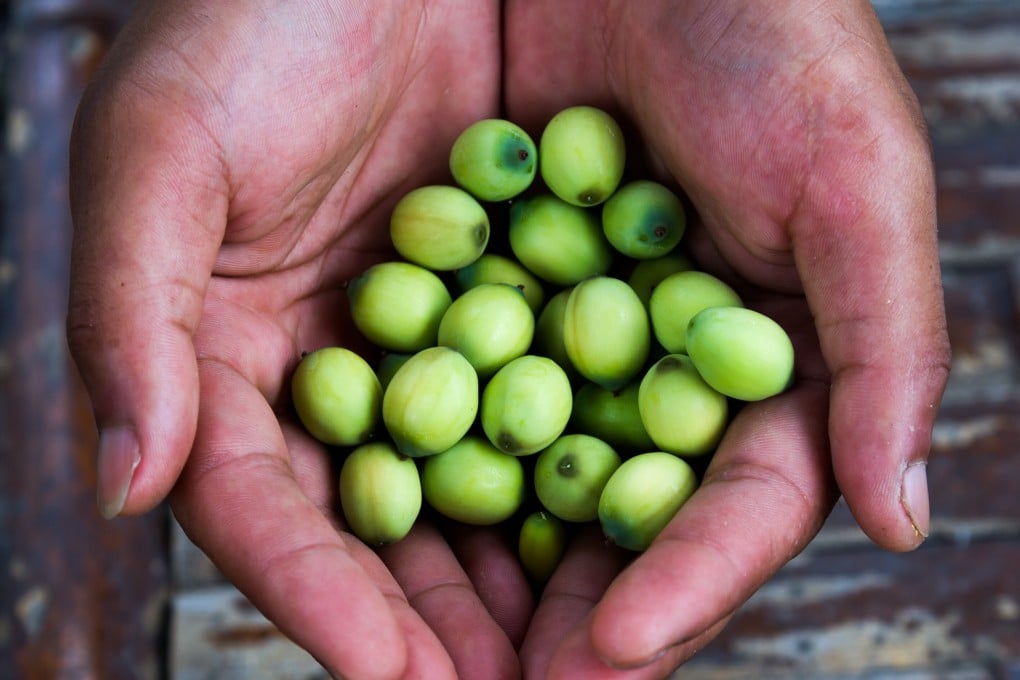 Lotus seeds are a super food long used in Ayurveda and traditional Chinese medicine. Photo: Getty Images