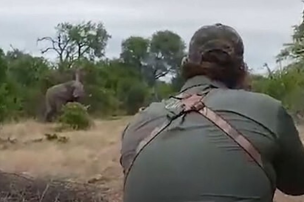 American hunter Aaron Raby now Peta target after elephant’s prolonged ...