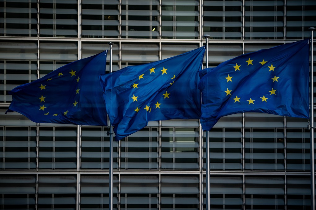 The European Union has issued a statement voicing its concern over the delay to the Legislative Council elections in Hong Kong. Photo: DPA