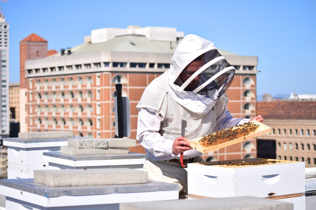 Hotels around the world are getting in on the beekeeping trend. Hives on the roof of The Clift Royal Sonesta in San Francisco.