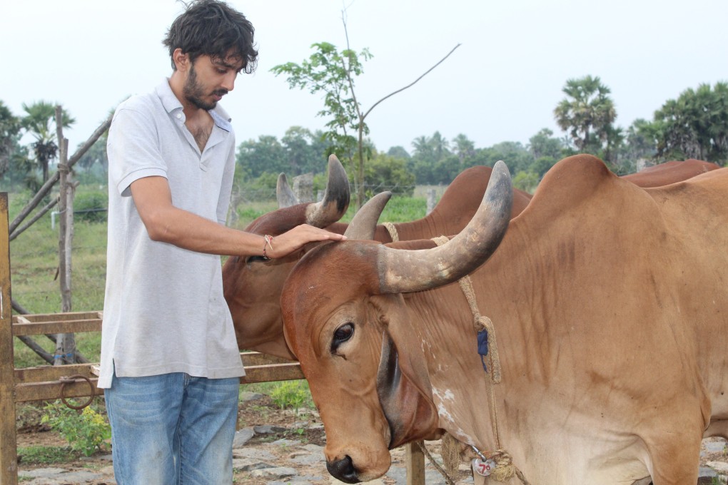 Pradyumna Damani used to live in Chennai but now runs a dairy farm. He said he disliked city life. Photo: Kalpana Sunder