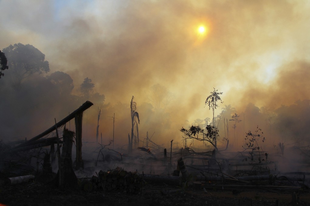 An area consumed by fires near Labrea, Amazonas state, Brazil. Photo: AP