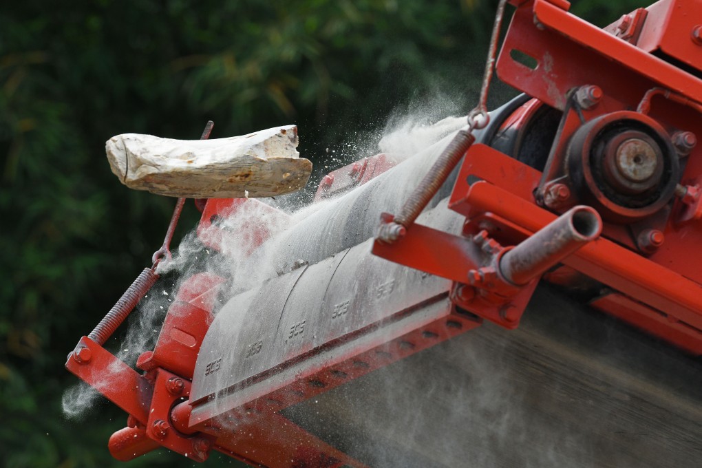 An elephant’s tusk is crushed during an event to commemorate World Elephant Day in Singapore. Photo: Xinhua
