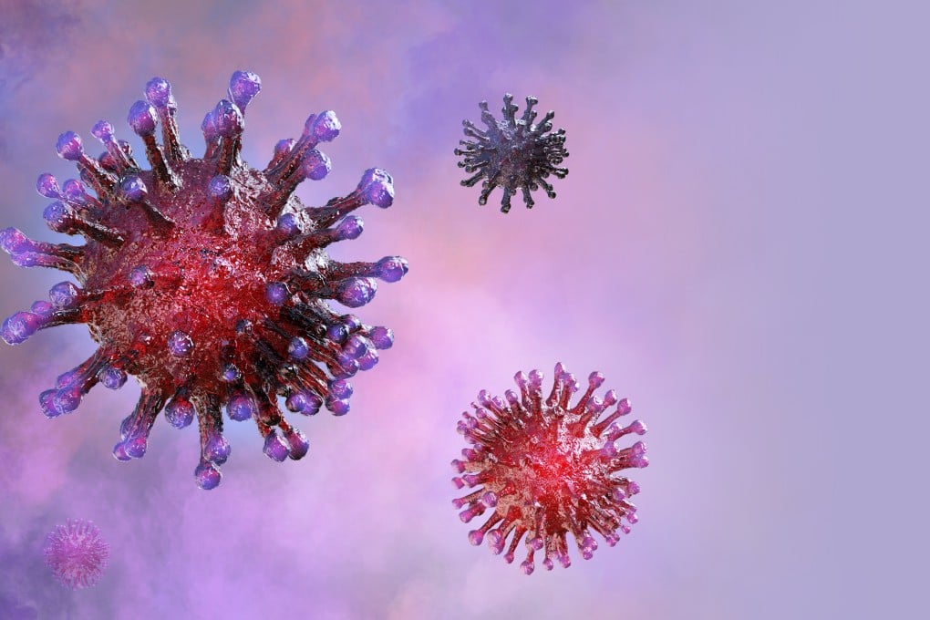 The coronavirus has been found on frozen food and packaging imported to China from South America. Photo: Shutterstock
