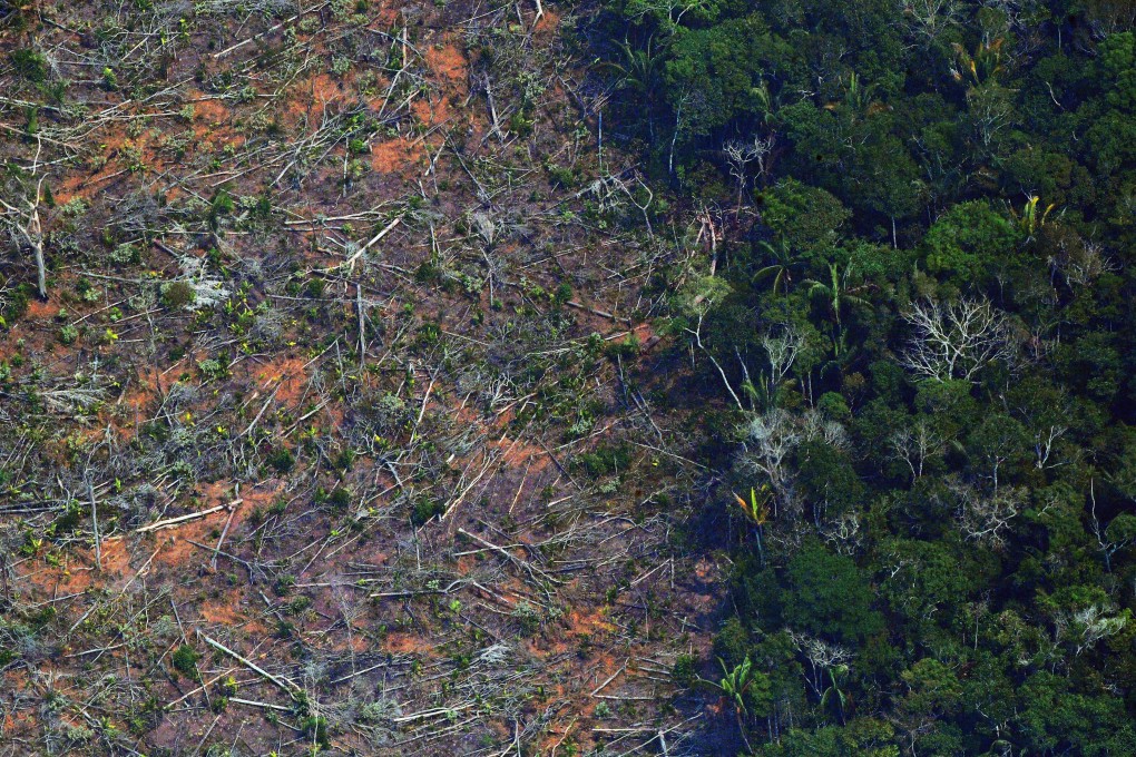 An aerial view of a deforested piece of land in the Amazon rainforest near Porto Velho in Rondonia, northern Brazil, on August 23, 2019. Unlike other jurisdictions, Hong Kong’s banks are not required to make public whether the projects or companies they finance are linked to environmentally damaging practices. Photo: AFP