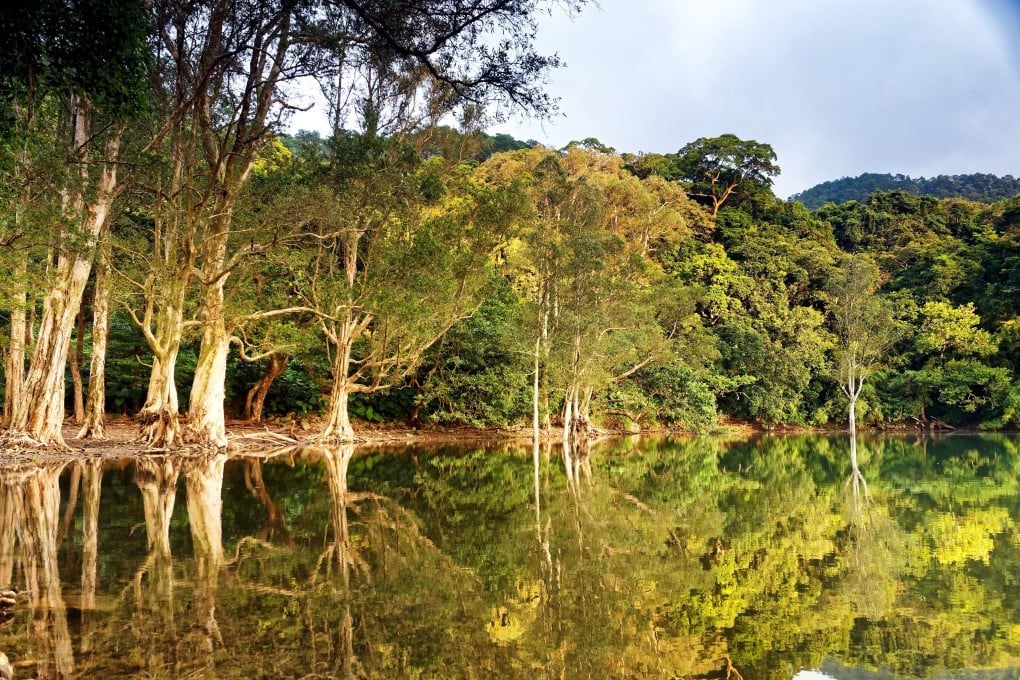 Late afternoon reflections at Shing Mun, just one of the beautiful woodland settings to explore in Hong Kong. Photo: Martin Williams