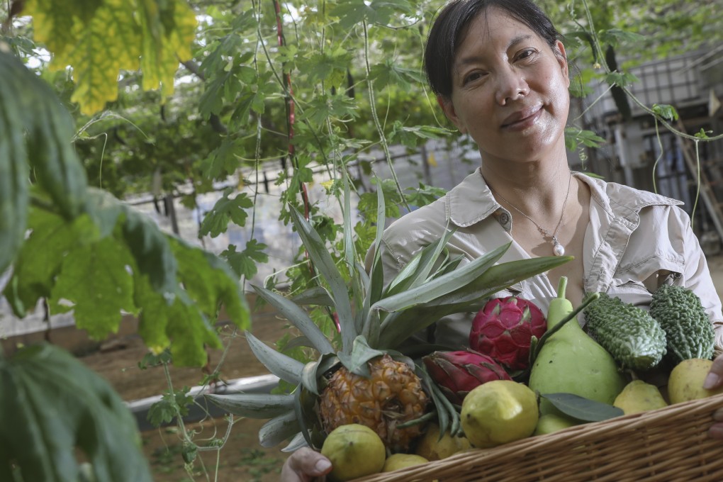 The best job in Hong Kong? If you ask Joey Ng Pik-wan, co-owner of Zen Organic Farm, she’d say it’s hers. Photo: K.Y. Cheng