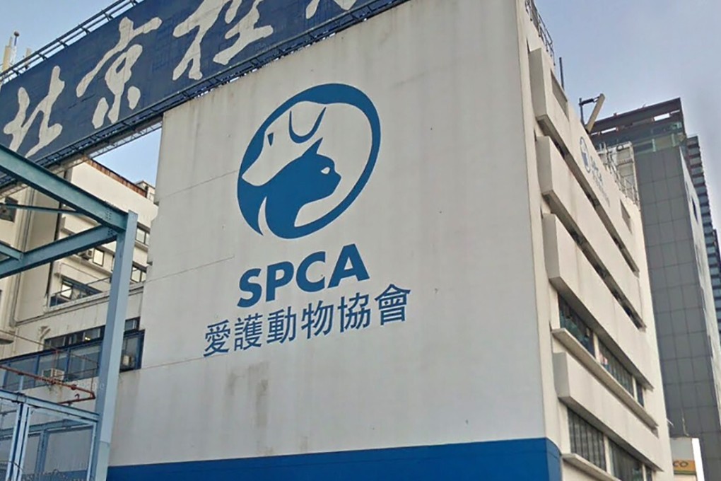 The Society for the Prevention of Cruelty to Animals has expressed outrage over the decision not to take the case to court. Photo: handout