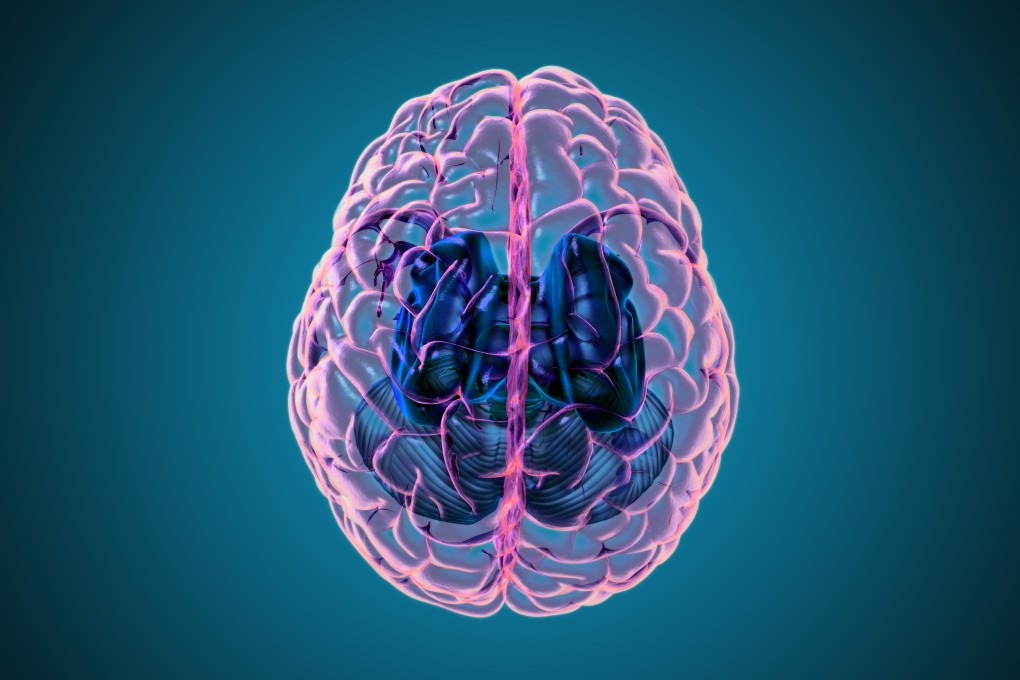 According to the study, the virus is able to replicate inside the brain, and its presence starves nearby brain cells of oxygen. Photo: Shutterstock