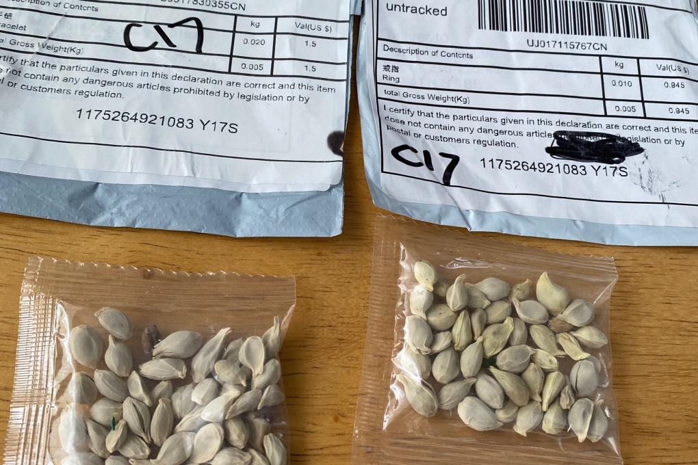 The Washington State Department of Agriculture said in late July it had reports of people receiving seeds from China they did not order and urged people not to plant them. The seeds were eventually found to be mostly harmless, despite the fevered speculation about their provenance. Photo: Washington State Department of Agriculture via Twitter