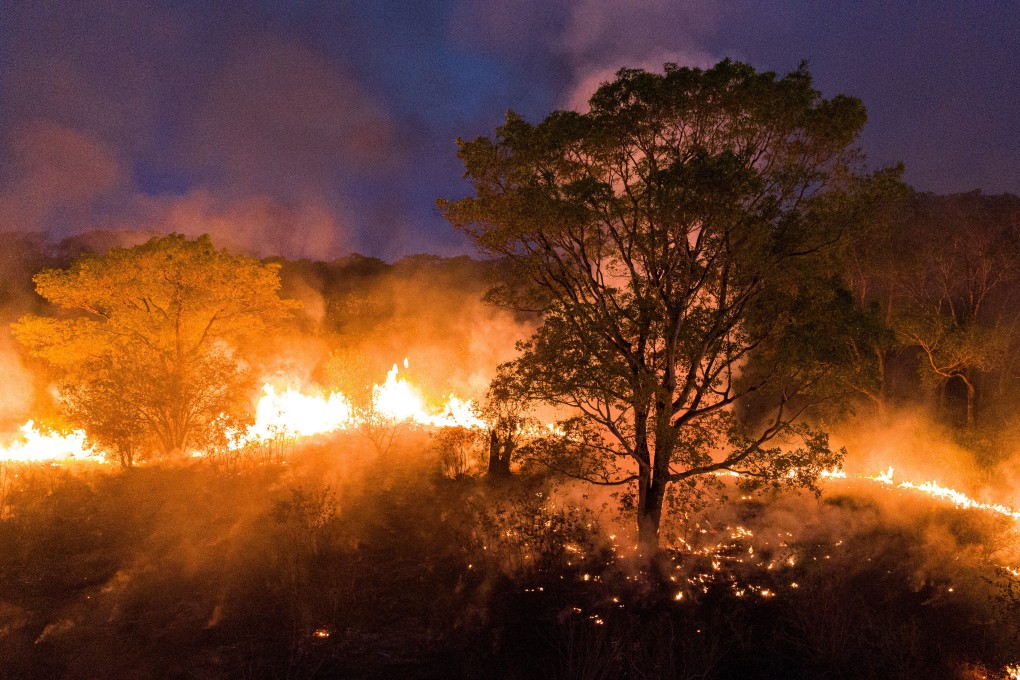 Fires rage in Brazil’s Pantanal wetlands, home to the world's largest jaguar population. Photo: AFP