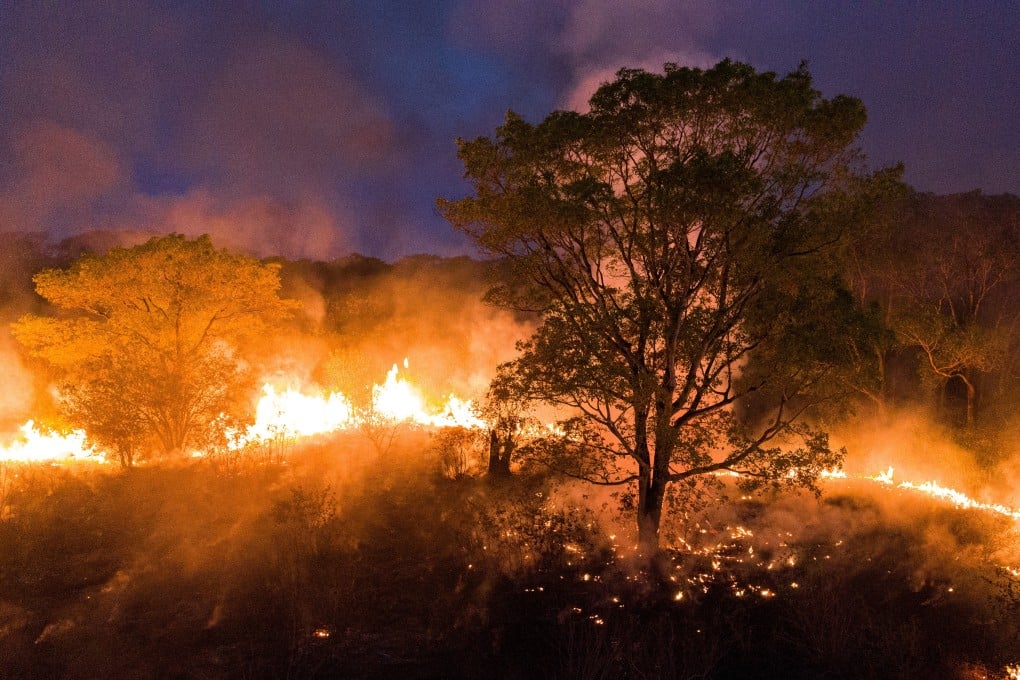 Fires rage in Brazil’s Pantanal wetlands, home to the world's largest jaguar population. Photo: AFP