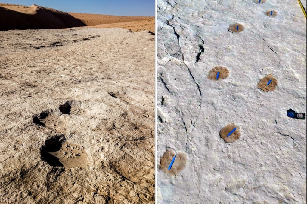Human and animal footprints that date back more than 120,000 years in northern Saudi Arabia. Photo: Xinhua