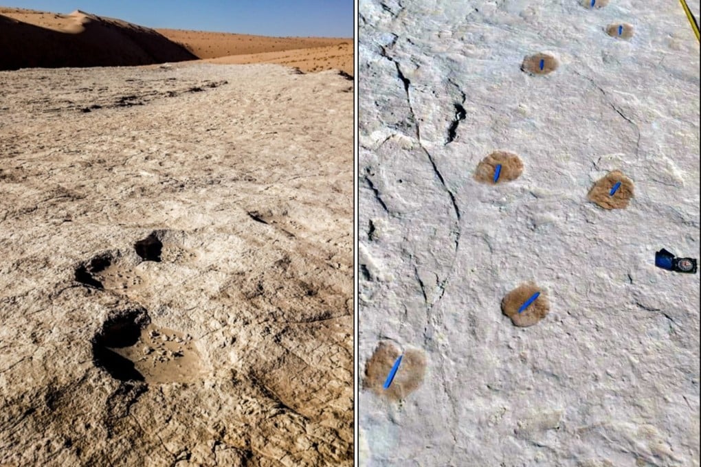 Human and animal footprints that date back more than 120,000 years in northern Saudi Arabia. Photo: Xinhua