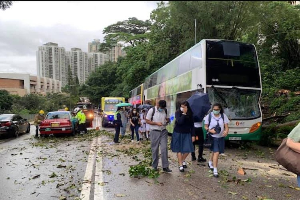 A tree collapsed and hit three vehicles on Pok Fu Lam Road near Pokfield Road on Thursday morning. Photo: Facebook