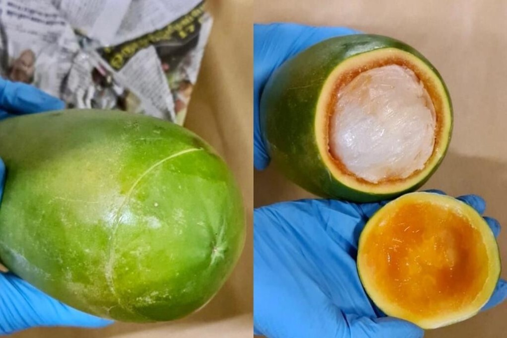 Anti-narcotics officers intercepted a vehicle that contained bundles of drugs stuffed inside papayas. Photo: Photo: Singapore's Central Narcotics Bureau / Handout