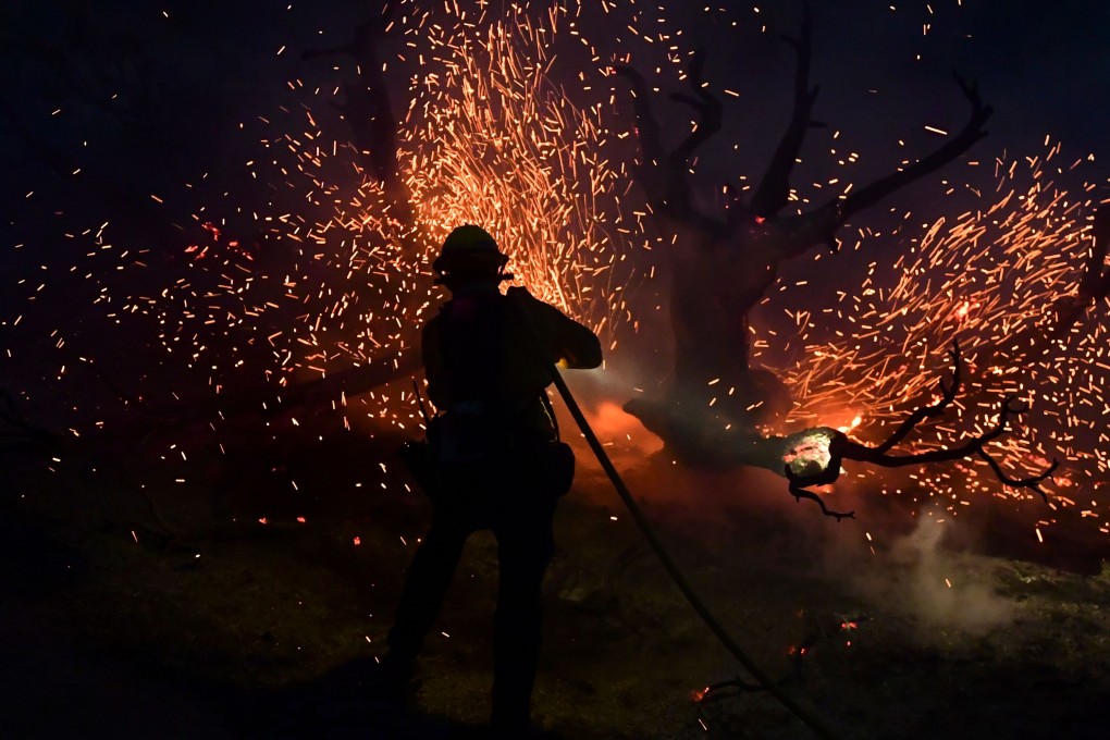A firefighter sprays a tree as the Bobcat Fire burns in Juniper Hills, California. The fire erupted on September 6 in the Angeles National Forest and has scorched nearly 100,000 acres. Full containment is estimated by October 30. Photo: AFP