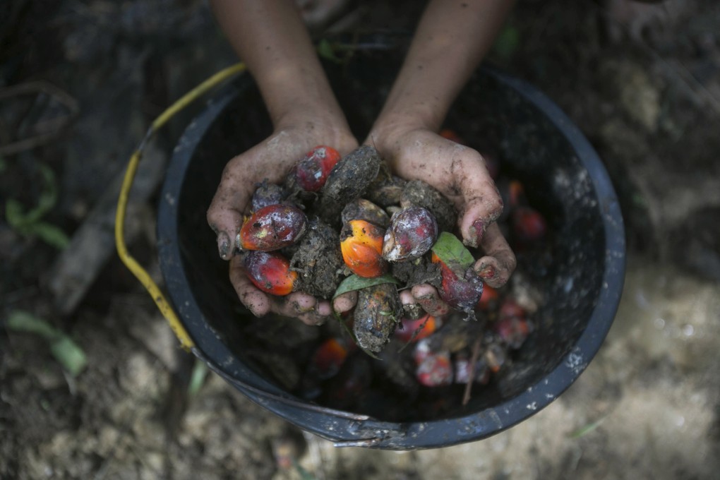 Malaysia and Indonesia produce about 85 per cent of the world’s palm oil supply. Photo: AP