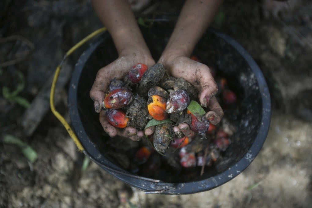 Malaysia and Indonesia produce about 85 per cent of the world’s palm oil supply. Photo: AP
