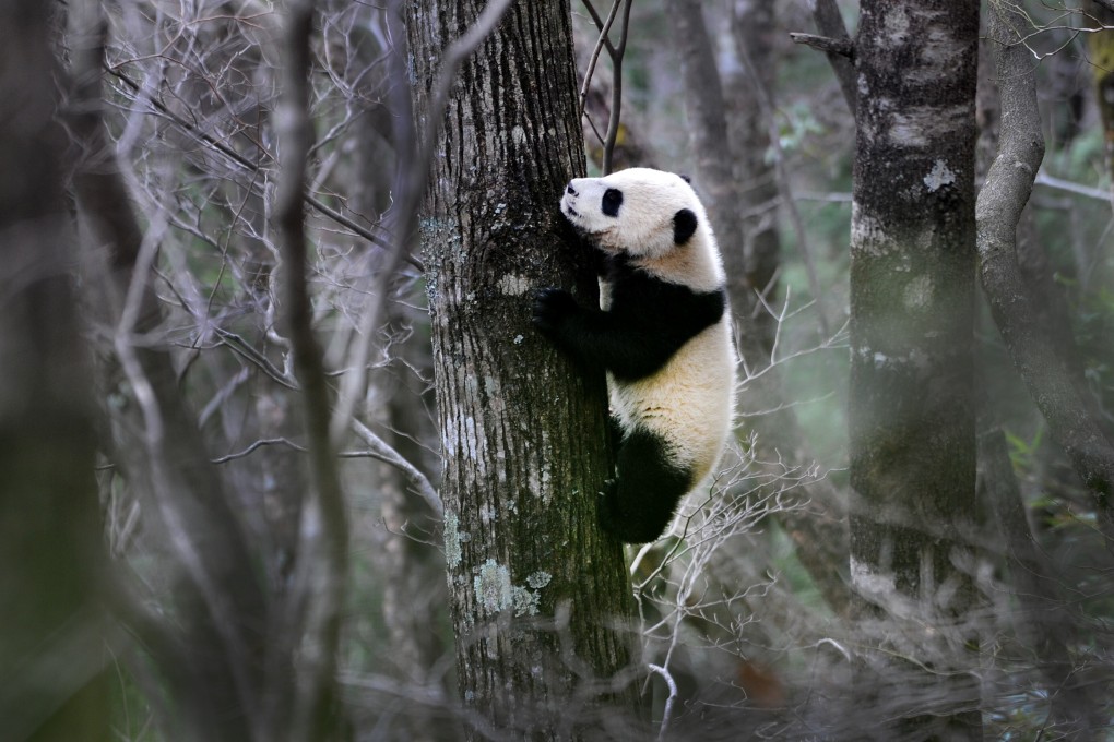 Habitats around the world are under threat as a result of human activity. Photo: Xinhua
