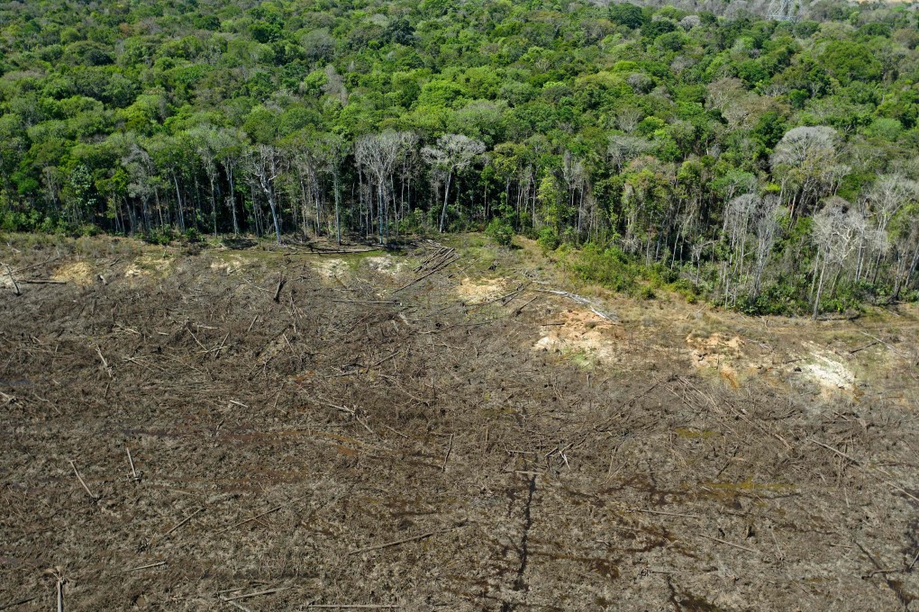 Working with suppliers indirectly means Brazilian meat-processing giants often get beef raised on land that was once Amazonian rainforest. Photo: AFP