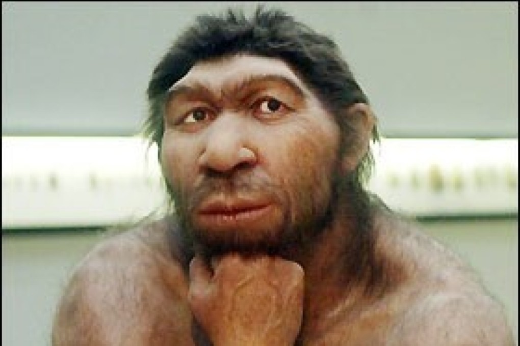 Modern humans and Neanderthals could have inherited the gene fragment from a common ancestor some half-million years ago. File photo: Handout