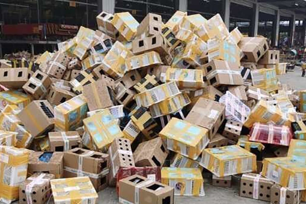 The animals had been transported in boxes and dumped at the Dongxing logistics hub in Luohe, Henan. Photo: Weibo